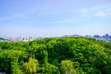 The Secret Garden of Changdeokgung Palace and the cityscape of Seoul, South Korea.