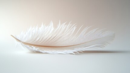 Obraz premium Close-up of a Delicate White Feather on a Soft Gradient Background