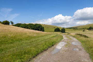 Looking along a dirt track in the South Downs, on a sunny summer's day
