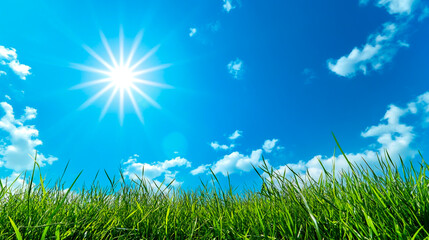 Obraz premium Illustration of green grass with a blue sky and sun