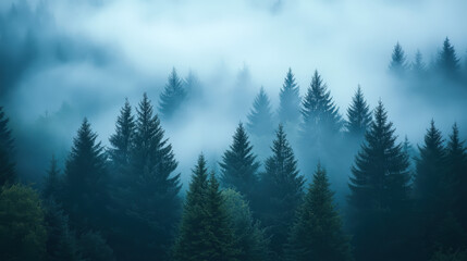 Fototapeta premium Morning mist rolling through a dense forest, foggy weather, mysterious ambiance 