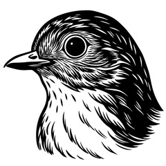 sketch of a bird