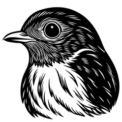 eagle cartoon isolated on white