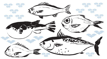 Set of cartoon sea food products. Ocean meal.  Marine fish. Bluefin tuna, Puffer, red seabeam round,  grunt, the golden snapper fish illustration in. Cooking delicatessen ingredients. Seafood of Japan © Marukopum