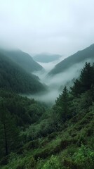 Obraz premium Fog rolling through a mountain pass, foggy weather, mysterious and silent