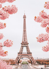 The Eiffel Tower framed by cherry blossoms in spring, capturing the Parisian charm.