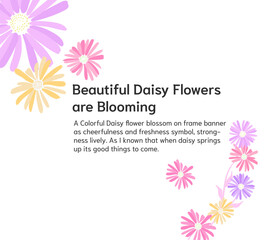 daisy floral banner ornamental on white background