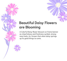 blossom daisy fllower banner on white background