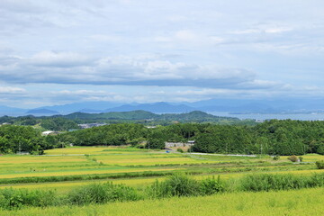 大津市伊香立から見下ろす稲刈り前の田と琵琶湖
