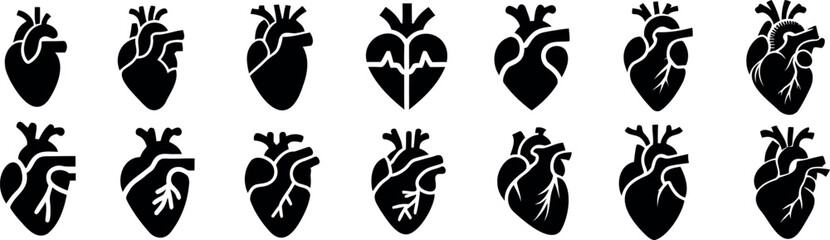 Anatomical heart vector silhouette icon set. heartbeat, cardiovascular, anatomy, medical, health, cardiology illustration, biology, organ, human heart collection