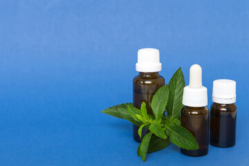 Natural Mint Essential Oil in a Glass Bottle. organic cosmetics with herbal extracts of mint on colored background