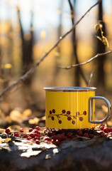 Cup of coffee with leaves