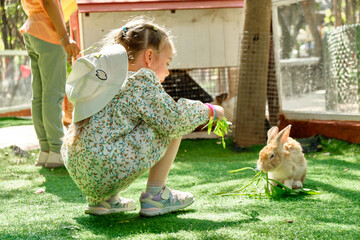 A little girl feeds a rabbit at the zoo Phnom Penh Safari, Cambodia