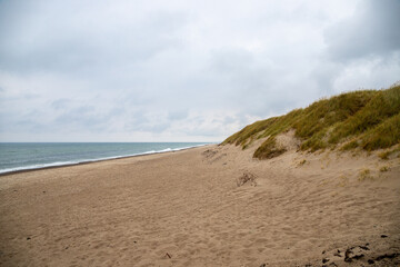 Danish dunes on the North Sea covered with grass