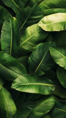 Tropical green leaves background creating natural pattern