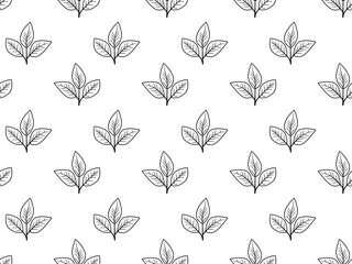 Hand drawn floral pattern vector design. Simple ornament with plant and leaf.