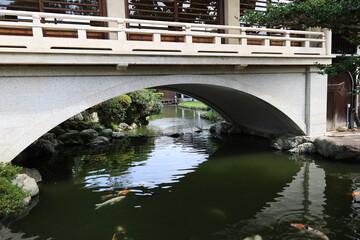 A Japanese temple : a scene of the precincts of Myogon-ji Temple in Toyokawa City in Aichi Prefecture　日本のお寺：愛知県豊川市にある妙厳寺の境内風景