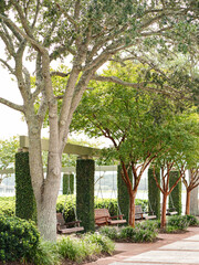 A row of swings in Beaufort South Carolina