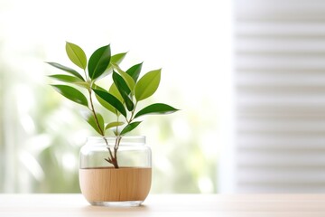 Decoration plant table glass leaf.