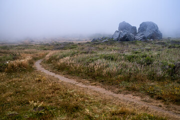 Hiking path leading to stone through coastal grasses on foggy day