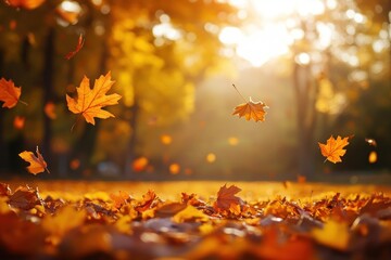 Autumn leaves falling sunlight forest
