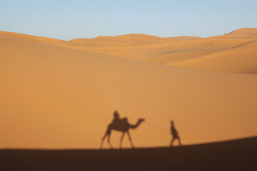 Sahara dunes, shade from a camel