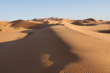 Sahara dunes,near Morocco, North Africa