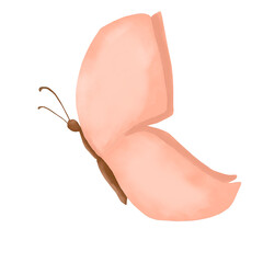 Butterfly with peach color wings watercolor digital illustration children's holiday for printing and web