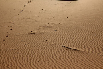 Sahara dunes, waves in the sand