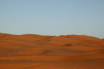 Sahara dunes,near Morocco, North Africa