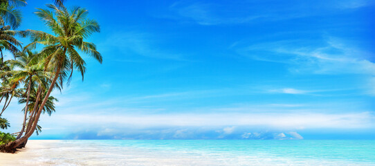 Sea beach, paradise tropical island, beautiful nature panorama landscape, turquoise ocean water, coconut palm trees, white sand, summer holidays, vacation, travel banner, Caribbean, Maldives, Thailand