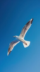 Obraz premium a bird soaring high in a clear blue sky, representing the essence of freedom.