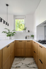Kitchen design featuring wooden cabinets, white countertop and green plants