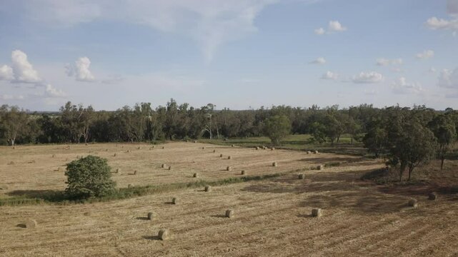 Bales of hay aerial shot Australian farm
