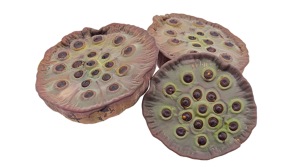 Lotus Seeds isolated on transparent background, PNG