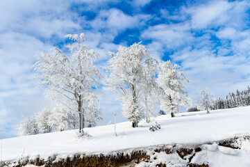 View of winter landscape. View of winter landscape. Frosted trees and bushes in Polish mountains. The Beskid mountains, Koszarawa, Silesia, Poland