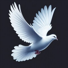 Fototapeta premium a flying white dove of peace on transparency background PNG