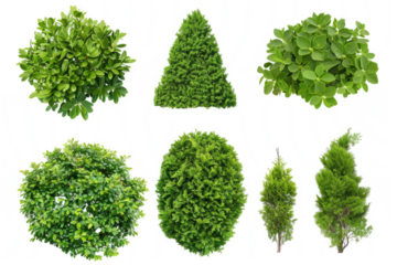 series of silhouettes of green bushes, figures on a white background.