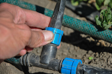 installation of drip irrigation system on garden plot. close-up of drip irrigation system connector. selective focus