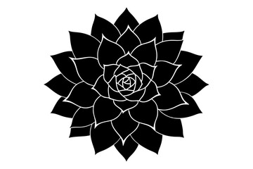  Silhouette Succulent Plant Black Color | Printable Vector Design