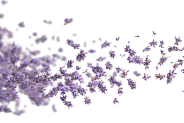 Lavender Dream: A gentle swirl of lavender blossoms creates a dreamy, ethereal effect against a pure white background. The soft purple hues and delicate petals evoke a sense of tranquility and serenit