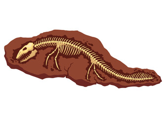 Dinosaur fossil skeleton bones, excavations of archeology isolated. Prehistoric reptile skeletons lying underground. Cartoon paleontological artifact