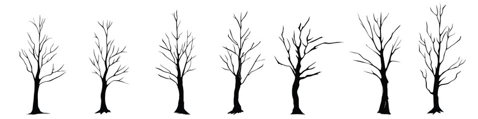 Obraz premium Set of drawn trees without leaves, drawing on white background, vector design