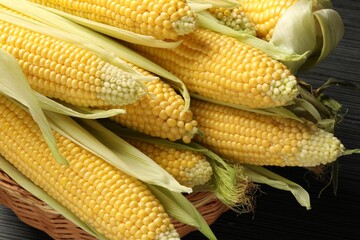 Many fresh ripe corncobs with green husks on wooden table, closeup