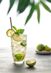 Mojito cocktail in a tall glass with lime, mint and ice on a table with morning light, shadow and palm leaf.