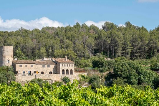 A vineyard estate building set against a backdrop of dense forest, surrounded by green vegetation, showcasing the harmony between manmade structures and natural landscapes in Penedes Spain