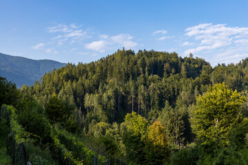 View of the Austrian Alps in Carinthia from the Landskron Fortress