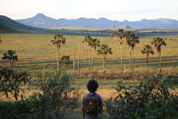 Fototapeta premium jardim de maytrea, na chapada dos veadeiros, goiás