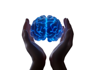 a hands holding a glowing brain