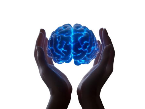 a hands holding a glowing brain